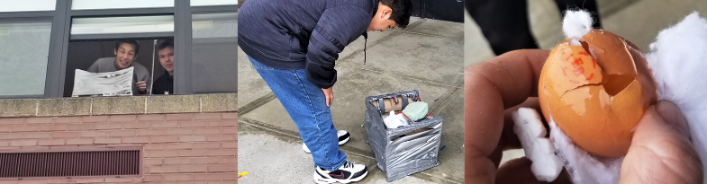 A 3-photo collage. Photo 1: Two students looking out a window with a cardboard box. Photo 2: A student bends over a cardboard box checking for the condition of his engineering project after it was dropped from a window to emulate a landing in Mars. Photo 3: two fingers holding a cracked egg resting on cotton balls.