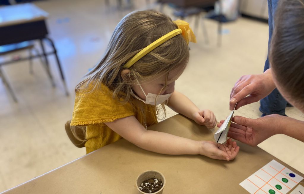 A small girl with a yellow shirt and hair band as well as a light mas holds her hands open as someone pours seeds into them. A small cup of dirt is on her desk.