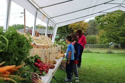 A few elementary age boys stand at a table containing bins of colorful vegetables. On the end is a woman with a pink jacket and dark hair.