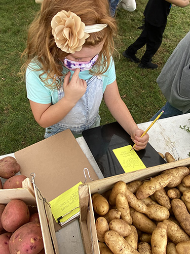 A girl with blond hair and a headband with a large flower on it writes on yellow paper as she looks at bins of potatoes.