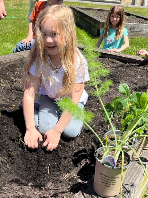 A girl with long blonde hair puts her hands in the dirt of a garden bed. There are plants next to her.