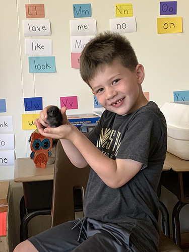 A kindergarten boy wearing a black t-shirt with told writing holds a black chick in his outstretched hands. He has short dark hair and is smiling.