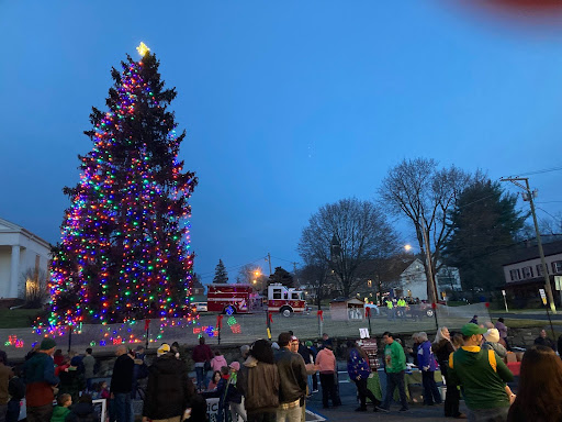 People gathered around a lit up tree