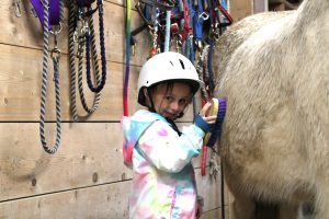 Pre-K student grooms horse at Winslow field trip