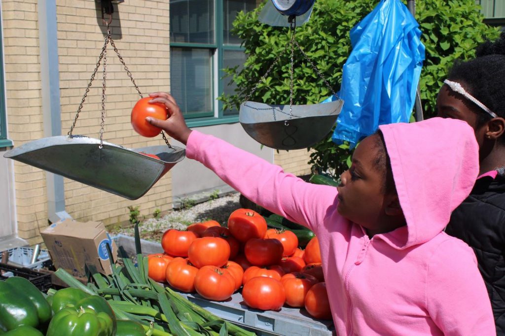 Student wearing pink, reaching to put a tomato on a scale